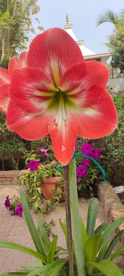 Upasana Eco Resort ボルプル エクステリア 写真